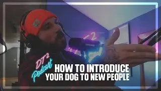 How To Introduce Your Dog To New People