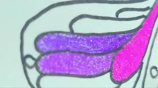 Glitter Butterfly ASMR
