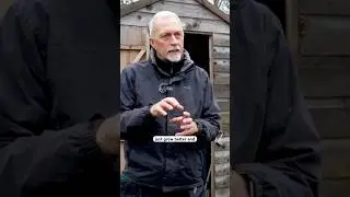 Руководство Дэйва по посеву семян в январе 🌱