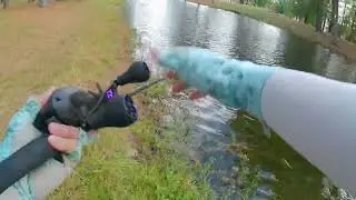 Megabass i-Slide 265r cast2catch