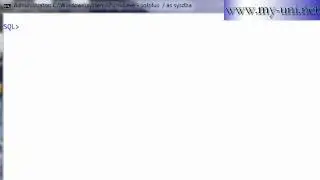 Oracle DBA, Export  data as CSV file, 1e19