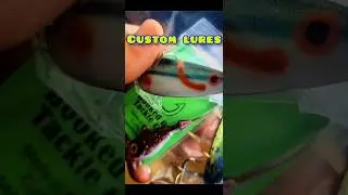 CUSTOM LURES!! (Do They Work) #shorts #lurehandmade #custom #fish #fishing #gamefish #bassfishing