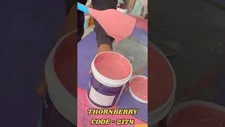 How to Make Nerolac Excel Total Exterior Colour | Thornberry Shade Formula #experiment #shorts #yt