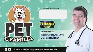 Hoje tem C&atilde;oversa, den&uacute;ncia de maus tratos e hist&oacute;ria inspiradora de um abrigo que transforma vidas