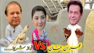 #imrankhan vs Nawaz sharif morgha laraye #funny #viralvideo Pakistan news video 🤣