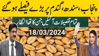 New wheat rate 2024/wheat price in pakistan 2024/wheat rate today/Wheat support price 2024