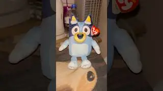 Bluey ty Plush #bluey #disney #disneyjr #shorts #plush #plushies #tybeanies #ty