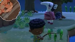 My first Nook Miles Ticket Island [Animal Crossing NH]