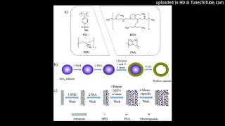 Nano-engineered microcapsules boost the treatment of persistent pain