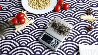 Stainless Steel Tray Desgin Portable Jewelry Balance Scale