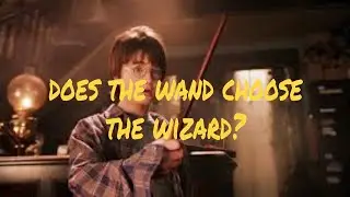 Hogwarts Legacy wand customization?