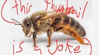trying to spawn Bee in WCUE (how to spawn him and me trying to)
