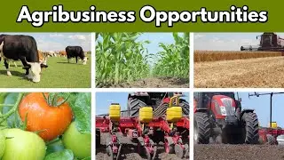 Agribusiness opportunities in Nigeria