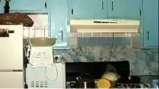4529 MUNDY LANE, BRONX, NY 10466