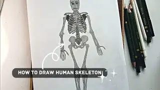 How to draw human skeleton | easy tutorial for beginners @FarjanaDrawingAcademy #youtube #trending