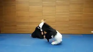 Tachi waza, Shomen uchi, Kokyu nage
