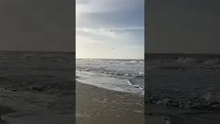 Sylt 🥰 27.01.2024 bei Sonnenschein am Strand + M&ouml;wenschwarm an der Nordseek&uuml;ste