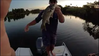 Topwater River Bass Mid North Coast
