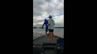 We're pros...#shorts