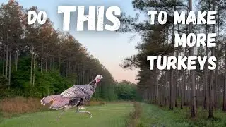 Мы поймали тебя, YouTube | Эпизод 98