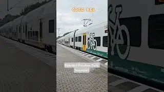 #trainspotting #ODEG #Desiro HC #Siemens mobility @Potsdam Park Sanssouci