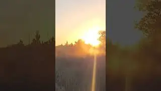 The Sun's first rays pierce the cool air, the present moment expands 🌞
