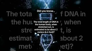 | Virtual Science Shorts | #didyouknow  #westpalmbeach #engagewithscience #science4life
