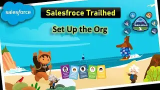 Set Up the Org #salesforce #salesforceadmin  #salesforcedeveloper