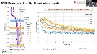 SPWLA TMYK: NMR Applications to Shale EOR Evaluation