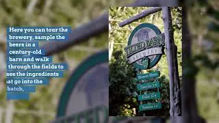 5 fun breweries in Rhode Island