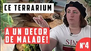 #4 TERRAS DES ABONNÉS - Son décor est incroyable !