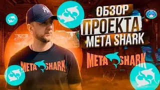 MetaShark ОБЗОР ПРОЕКТА | Презентация