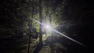 Flawed Mangoes - The Beginning (Live Visualizer)