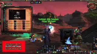 World of Warcraft - New Guardian Cub Pet 2011