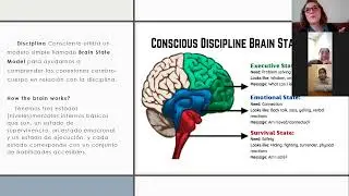 Disciplina Consciente