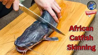 &ldquo;Easy African Mackerel Fish Skinning | Quick & Simple Fish Cutting Technique BD&rdquo;