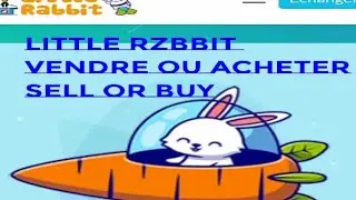 Little rabbit ne prend de la valeur sur Trust wallet , pourquoi ?