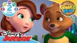 Goldie & Bear | Things In Common With You Song | @disneykids