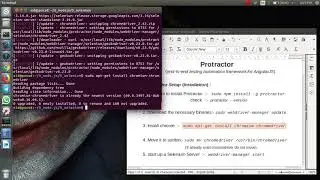 Selenium testing (Protractor framework) installation.