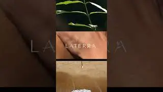 LaTerra biocosmestics - Transform your everyday into rituals of sacred beauty.