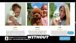 Wuffy Robot Puppy Review: How Realistic Is Its Personality and AI Behavior System? Why is The Best??