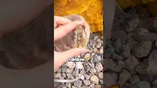Приводим кота на поиски драгоценных камней 😱❤️