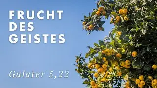 16.11.2025 | Die Frucht des Geistes - Liebe | Jens Martin Rauen