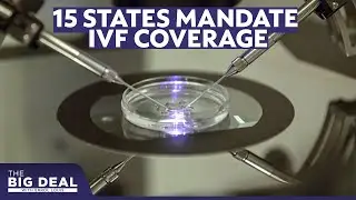California requires large health insurers to cover in vitro fertilization | The Big Deal