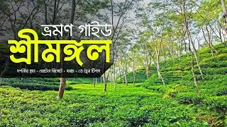শ্রীমঙ্গল ভ্রমণের সব কিছু 2026 🇧🇩। Sreemangal tour। day tour। Lawachara Forest | Md Ashik