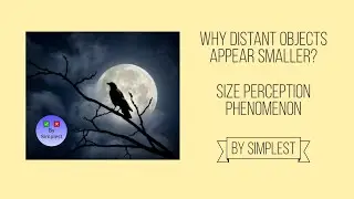 Size Perception Phenomenon