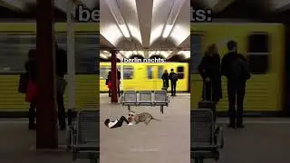nachts in Berlin ist gef&auml;hrlich #Shorts #berlin #memes #comedy #lustigevideos #jeremyfragrance