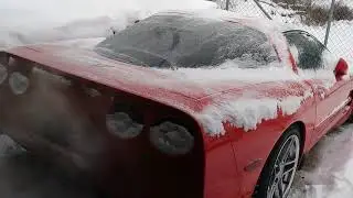 LS2 swapped C5 cold start!!!!!