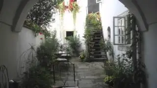 Martin Hughes Haydn Sonata E minor
