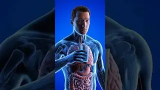 A 3D Water Journey #healthtips #facts #healthawareness #3danimation #shorts